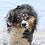 Florent4782