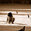 Sylvain_Soulard